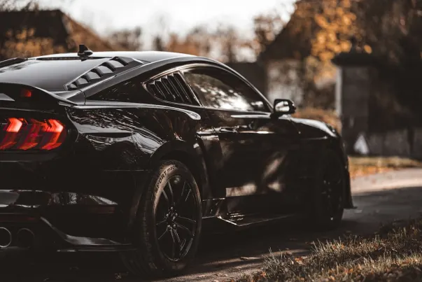 Spinago Casino Application Android/iOS